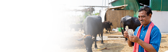 Secure Your Dairy Farm's Growth with Cattle Finance: Affordable Rates and Govt. Subsidies Secure Your Dairy Farm's Growth with Cattle Finance: Affordable Rates and Govt. Subsidies